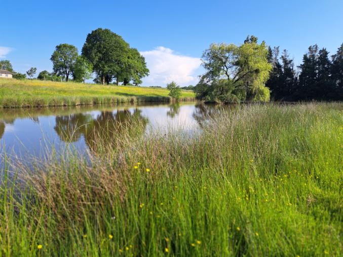 Property of two hectares / propriété de deux hectares