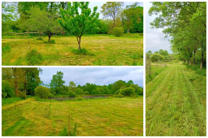 Terrain de loisir de 7200 m² avec étang.