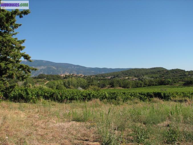 Puyméras: magnifique terrain à 10 mn de Vaison