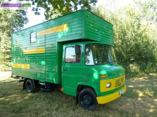 Oli Camion Chevaux Mercedes 407 D