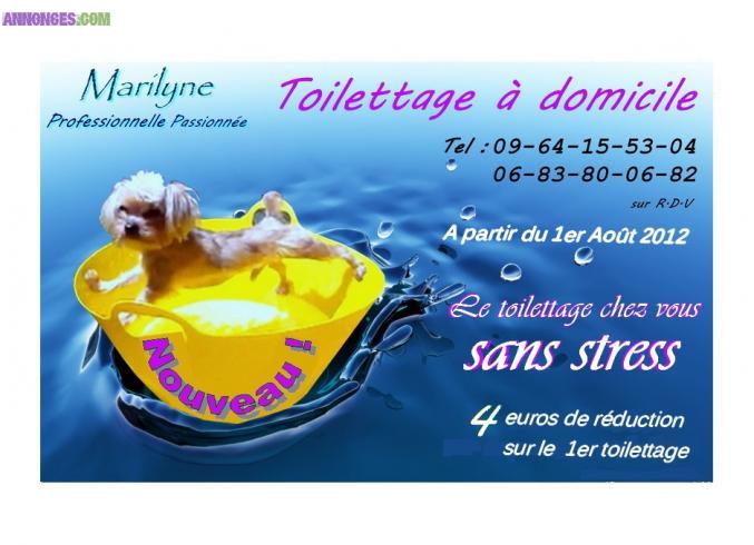 Toilettage a domicile