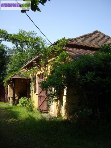 Maison avec piscine