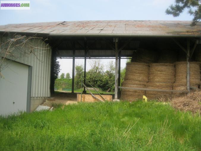 Hangar agricole sur terrain 1000 m2