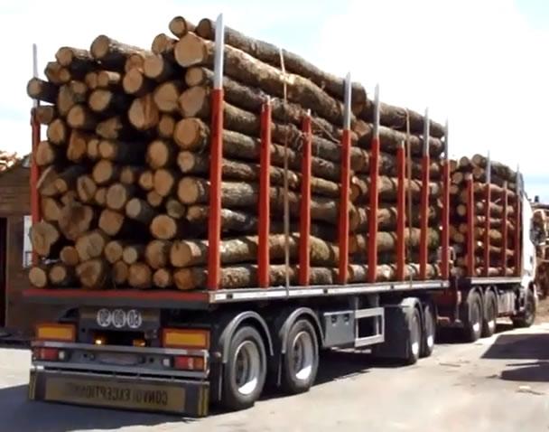 Bois de chauffage hêtre en camion de 50 stères