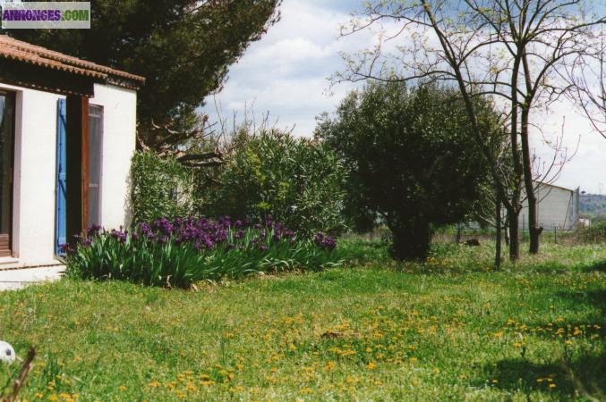 PAVILLON DE PLAIN PIED