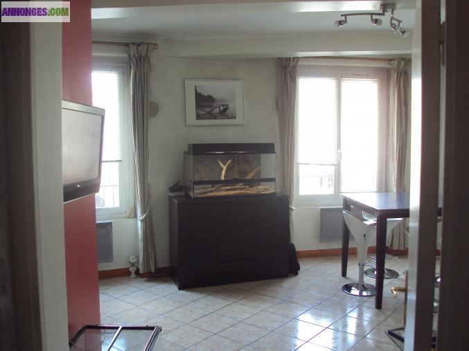 APPARTEMENT ANCIEN 40m2 (T2) CREMIEU CENTRE 