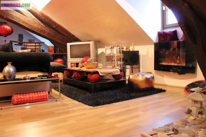 Appartement duplex/loft de type F1 Centre Ville Beaune