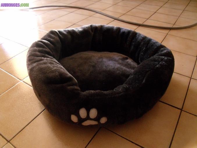 Coussin pour chat