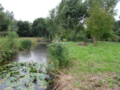 TERRAIN HORTILLONNAGES AMIENS