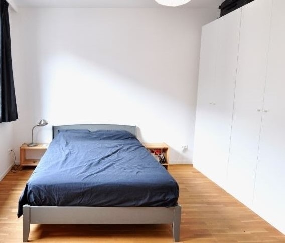 Studio Meublé 35 m2 à Geneve Quartier pittoresque