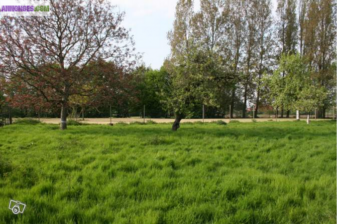 Terrains à bâtir - Domaine de la Clorière - Moncheaux