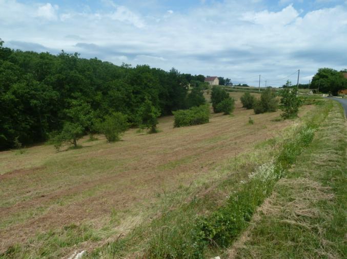 Terrains à bâtir