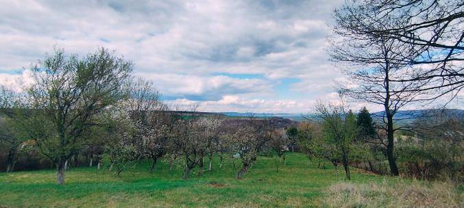 Propriété unique en Bulgarie : Maison et grand terrain arboré au village de Zvezda