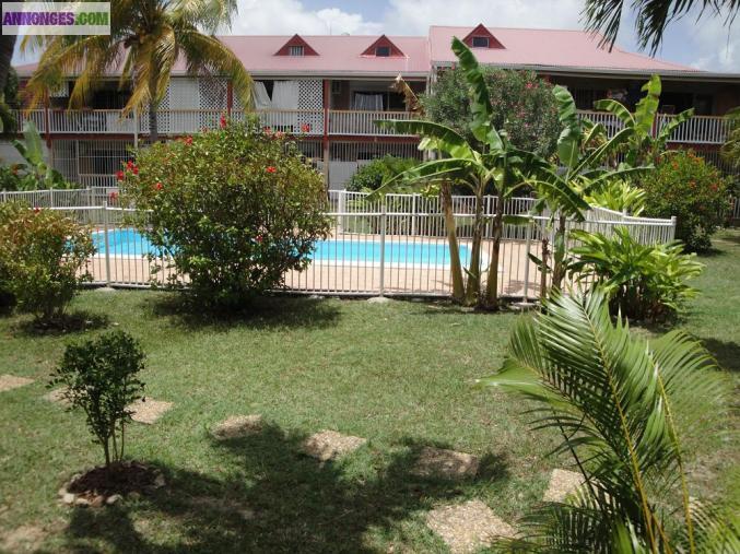 Loue T2 dans résidence avec piscine à Saint-Martin