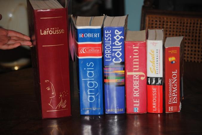 Lot de 6 DICTIONNAIRES