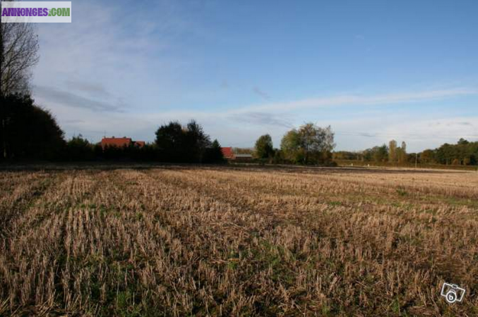 Terrains à bâtir - Domaine de la Clorière - Moncheaux