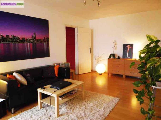 Très bel appartement meublé 50m² proche Lille, balcon, cave, parking fermé