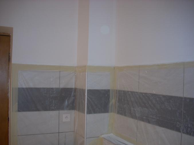 Travaux de peinture et de renovation CESU accepte. Artisan disponible de suite.