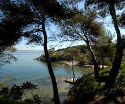 Location saisonnière en caravane dans le VAR à SIX FOURS LE S PLAGES 83