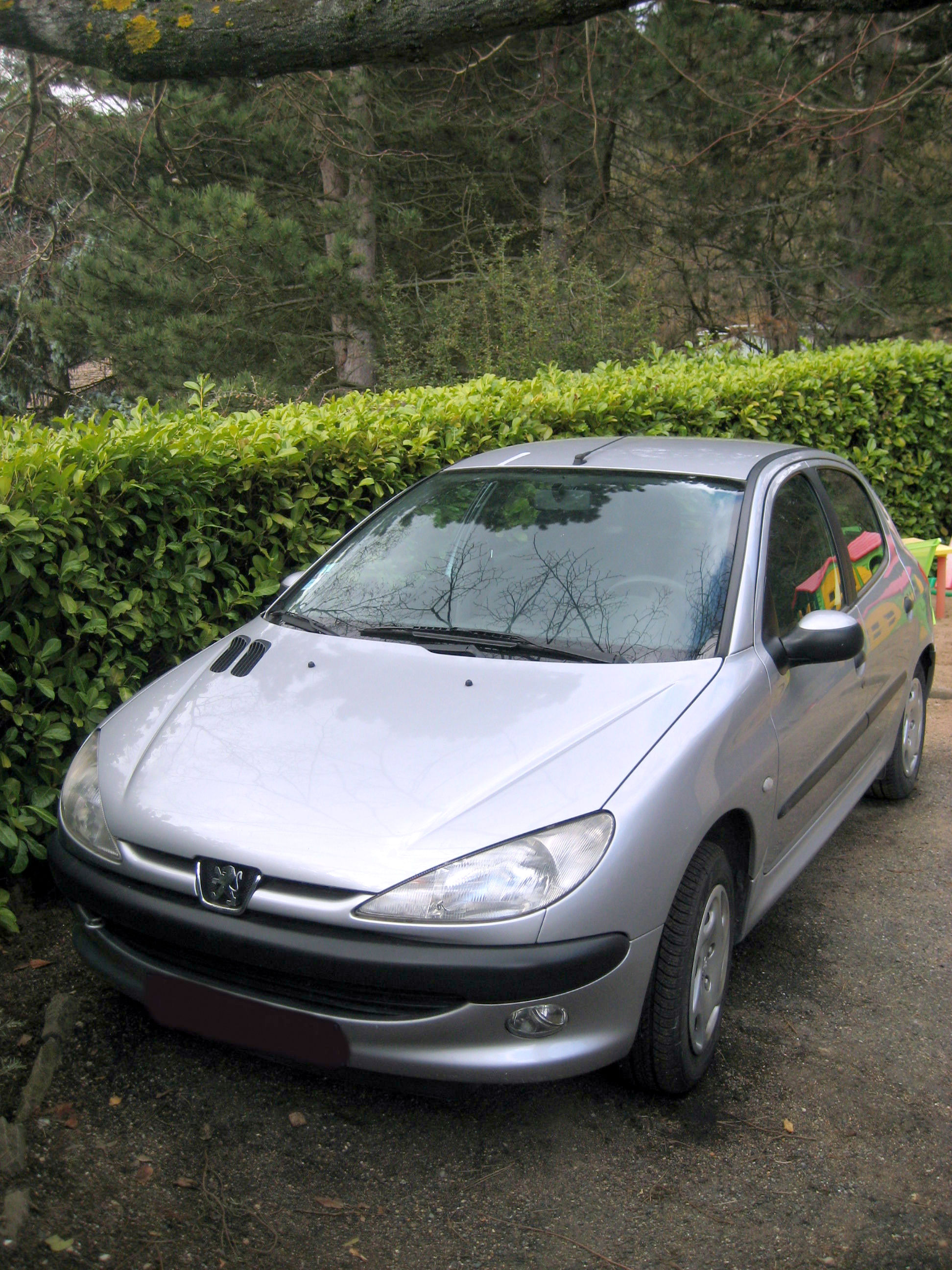 Peugeot 206 2l hdi