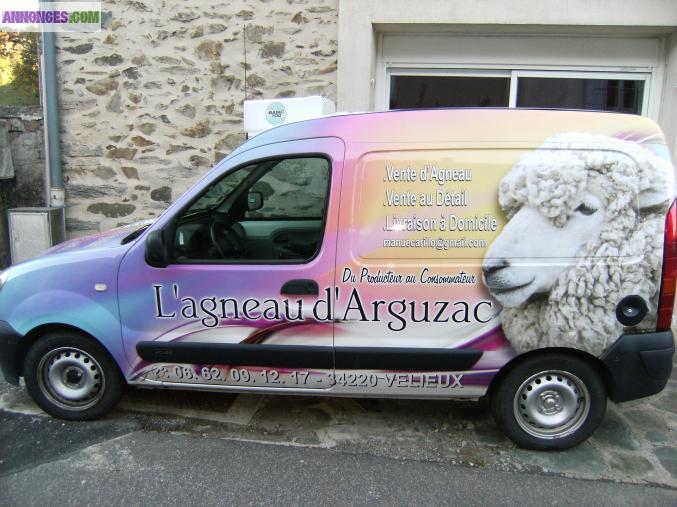 Renault kangoo frigo