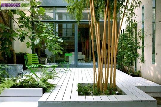 Paysagiste jardin,terrasse arrosage auto,mur végétales