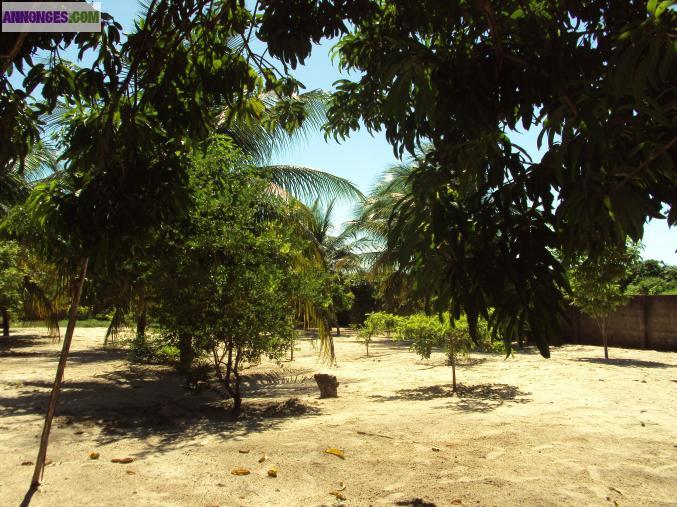 Superbe villa avec grand terrain, arbres fruitiers,  au Soleil toute l’année !!!!!!!