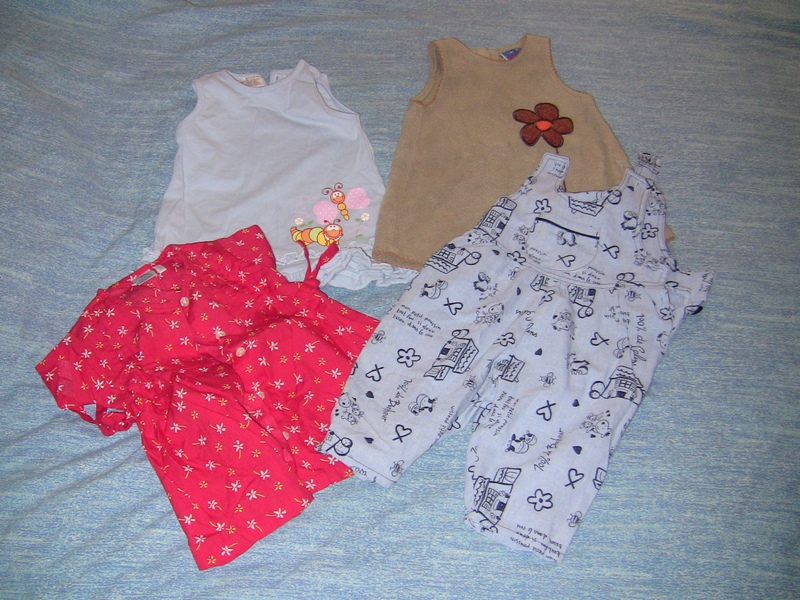 Lots de vêtements bébé fille 9 mois (74 cm)