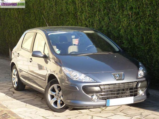 Peugeot 307 PACK Gris