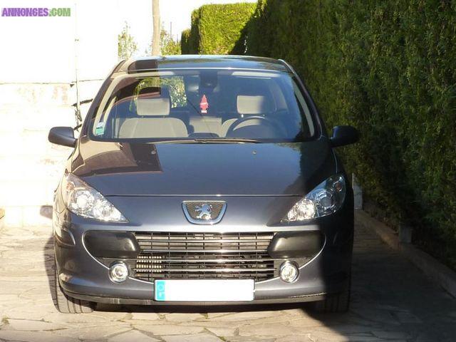 Peugeot 307 PACK Gris