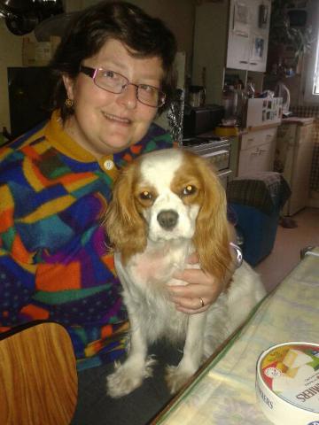 Deux cavalier king Charles