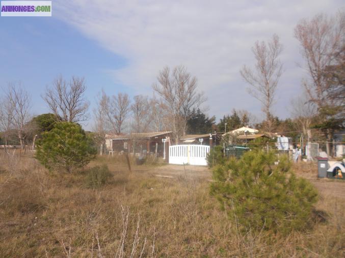 Chalet bord de mer marseillan plage 6 chg terr ts conforts grd calme et vue