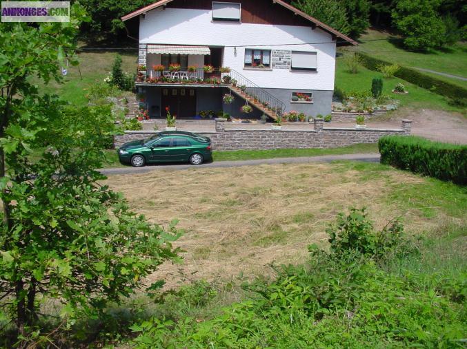 VENDS TRES BEAU TERRAIN DE MONTAGNE 3500 M2