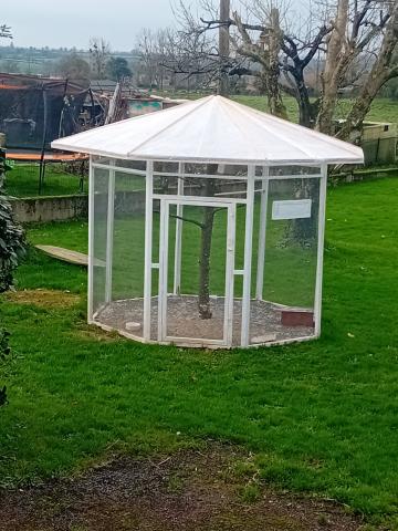 Vincent multiservice