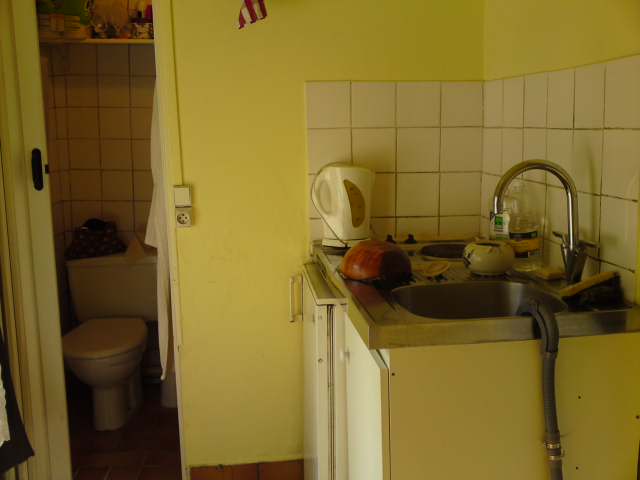 Studio 18m2 dispo en juin - Chaville - 550 euros