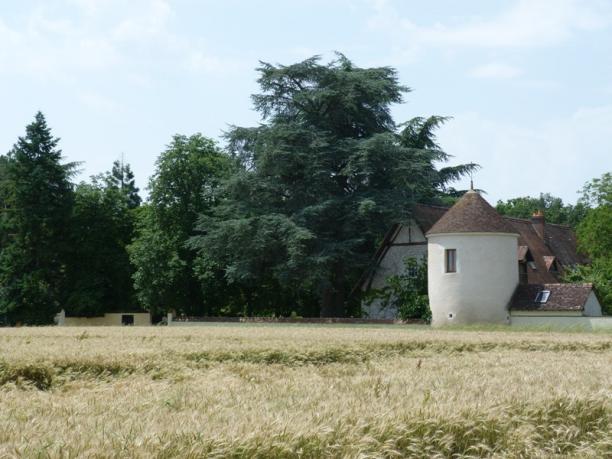 Neuillé-le-Lierre - Domaine de la Roche