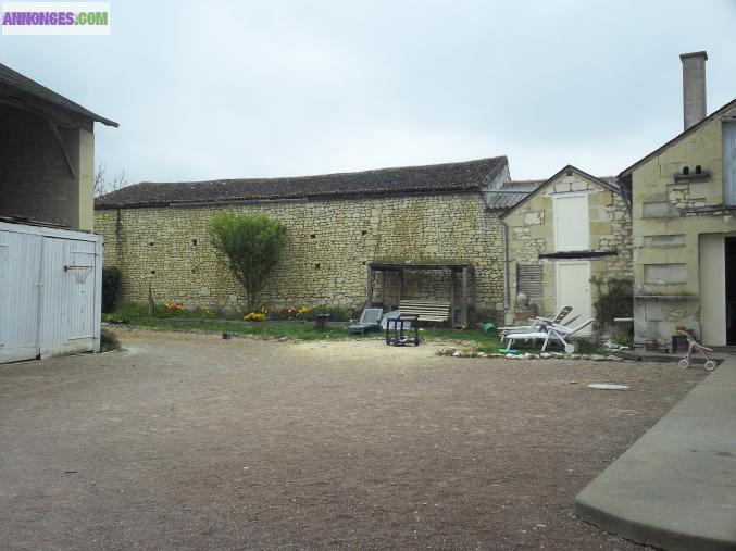 Maison en pierre grand terrain