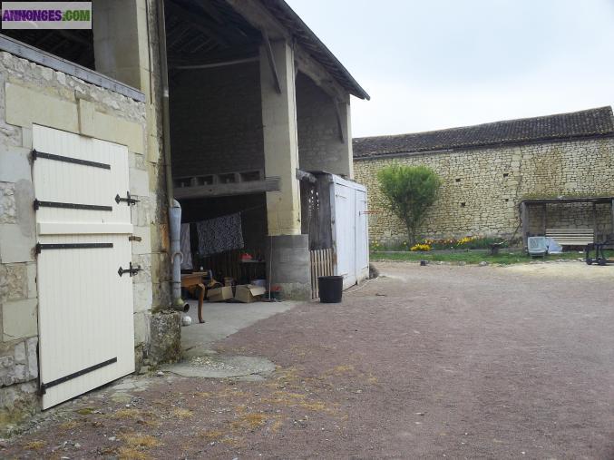 Maison en pierre grand terrain