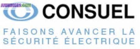 ELECTRICIEN SUR PARIS POUR VOS TRAVAUX + CONSUEL