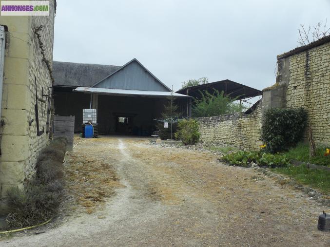 Maison en pierre grand terrain