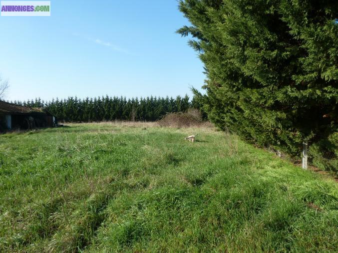 Terrain 8000 m² divisible en 2 lot