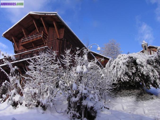 Les 3 Vallées Très beau chalet petit hameau station St Martin de Belleville/Les Ménuires