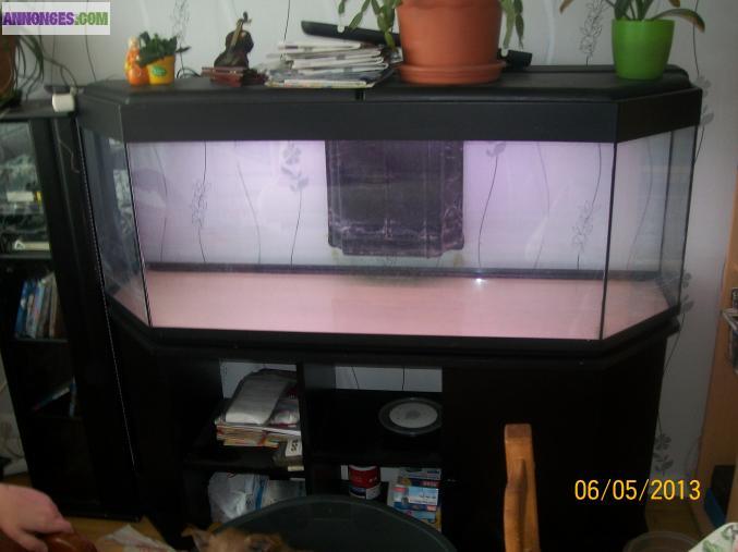 Aquarium +meuble