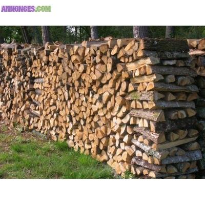 Bois de chauffage de qualité supérieure à 45€/stères