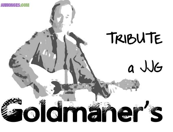 Tribute «  Jean Jacques Goldman » recherche  BASSISTE