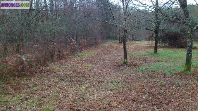 Très beau terrain dans site protégé de Chateau l'Hermitage