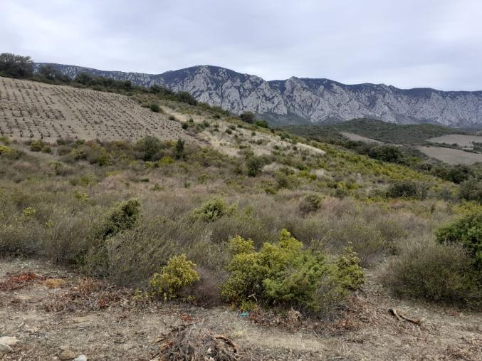 Terrain agricole ou de loisir