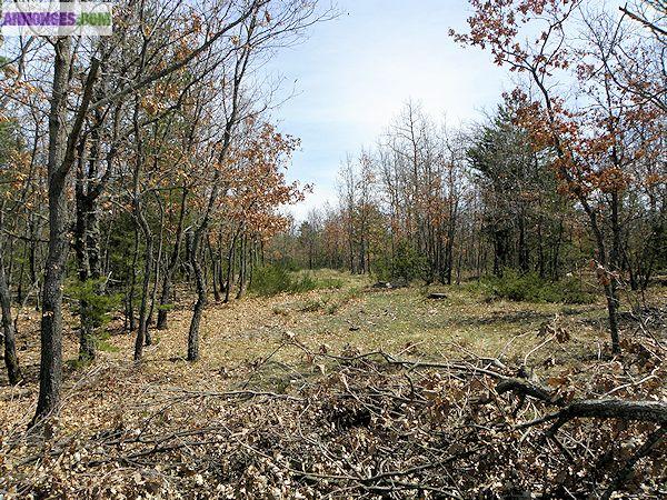 Terrain constructible Ventoux