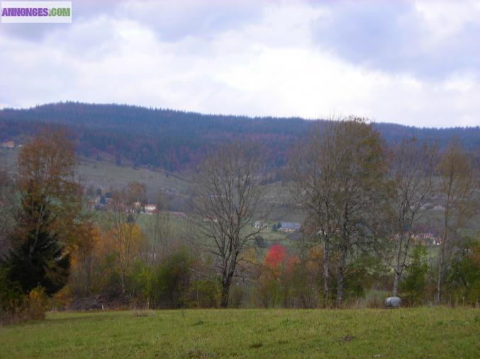 Studio-gîte en haut Jura