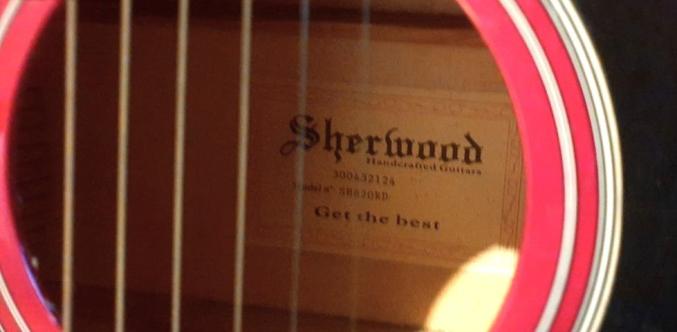 Guitare folk sherwood SH820